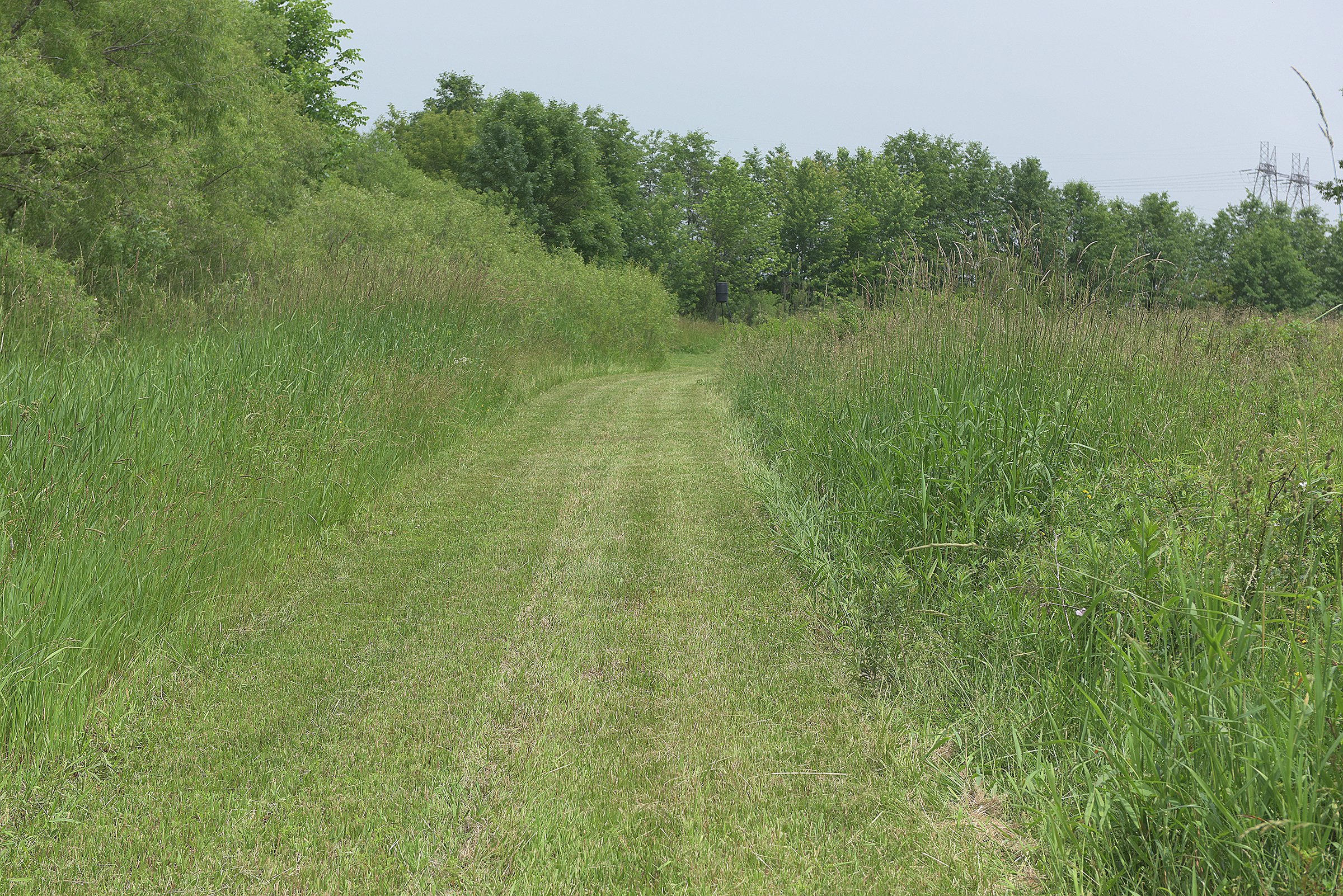 Lake County, Indiana farmland - LAND AUCTION - 147+/- ACRES OFFERED IN 3 TRACTS IN LAKE COUNTY, INDIANA
